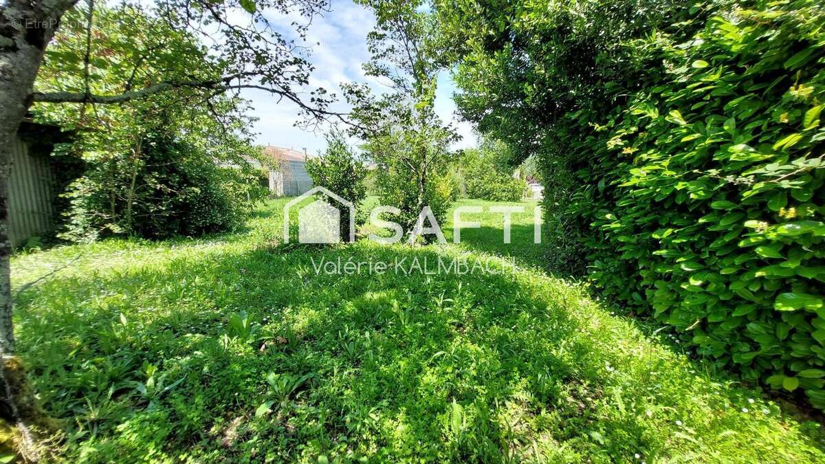 Photo 2 - Terrain à BOUTIERS-SAINT-TROJAN