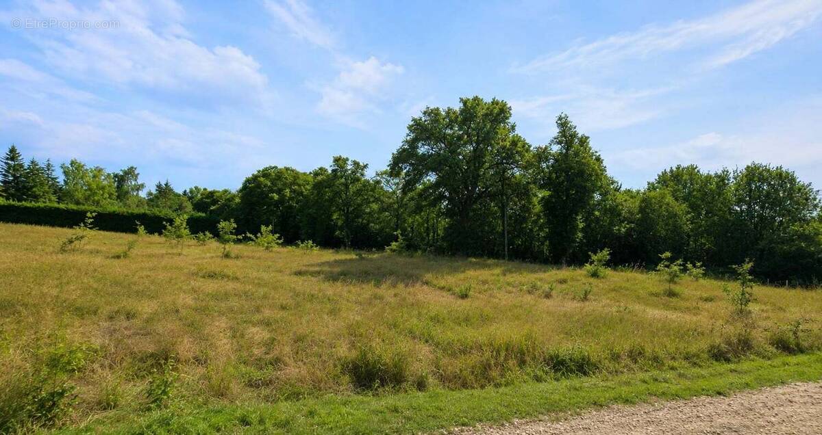 Terrain à SAINT-MARTIAL-DE-VALETTE