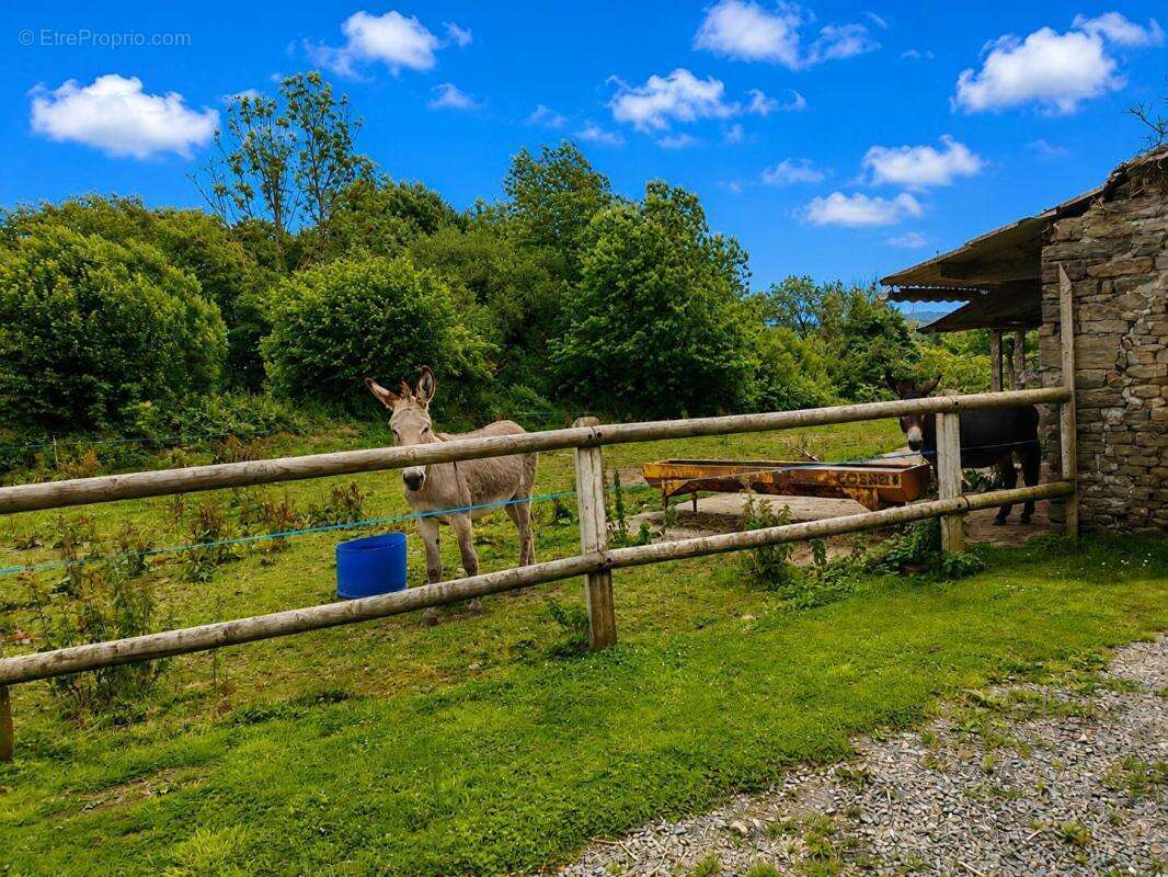 En Basse Normandie : Manoir de 331m2 de 8 pièces sur plus de 6 hectares ! Belle rénovation ! - photo 17