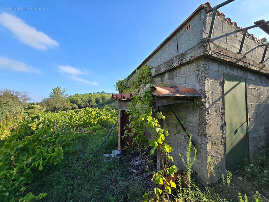 Terrain à COLLIOURE