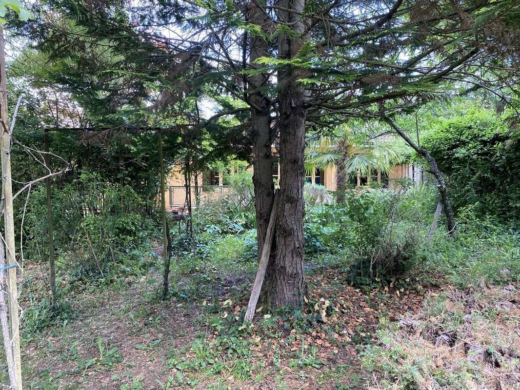 Maison de village atypique à rénover avec jardin et une grande grange - photo 14