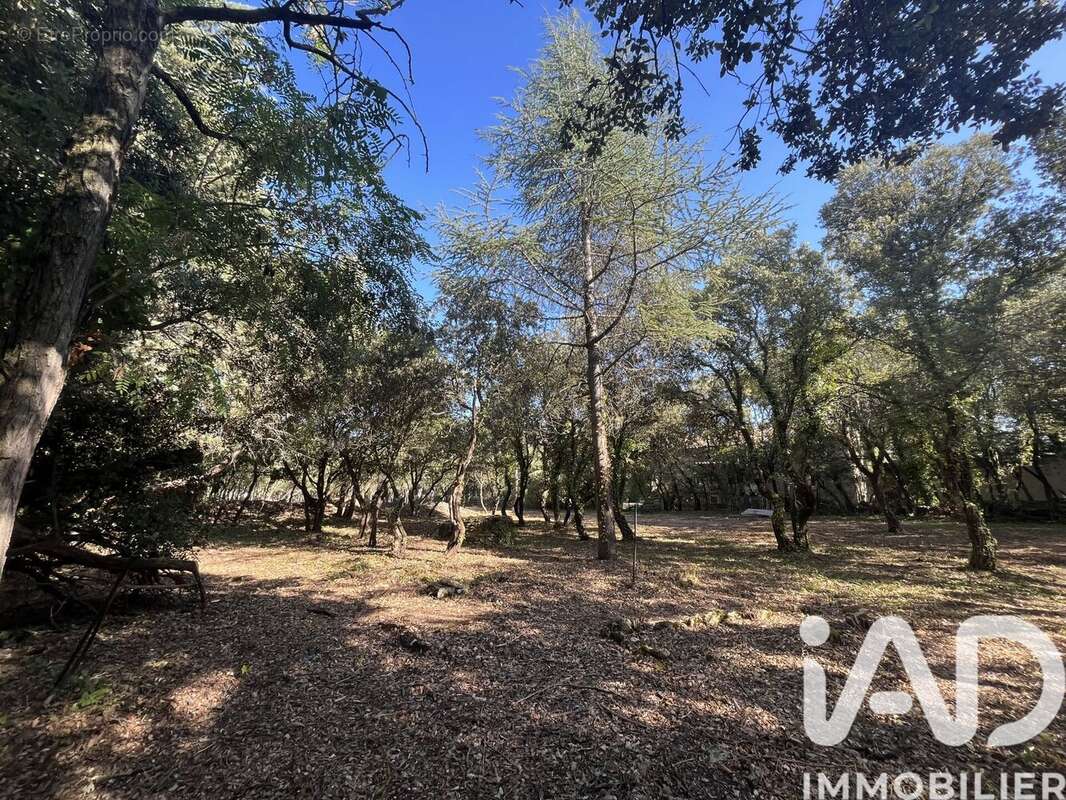 Photo 5 - Terrain à CABRIERES-D&#039;AVIGNON