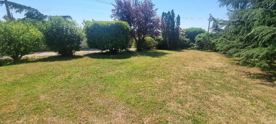 Terrain 900 m² à Montluel  - photo 2
