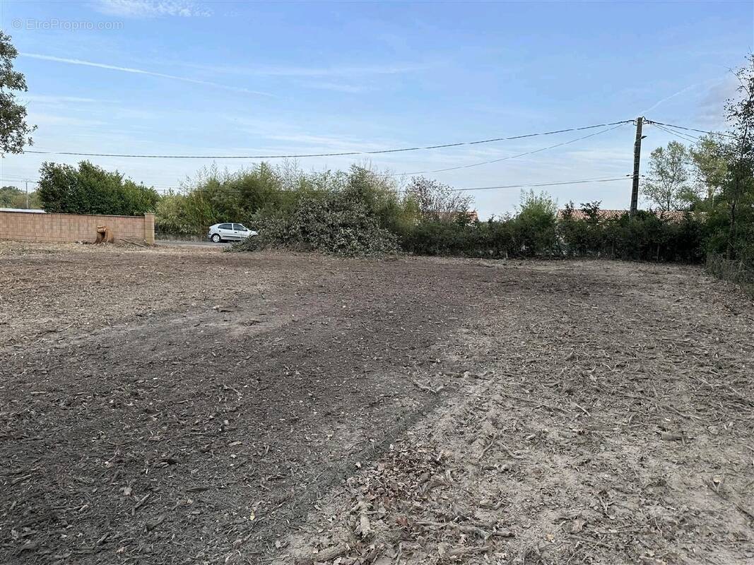 Terrain à LAGRAVE