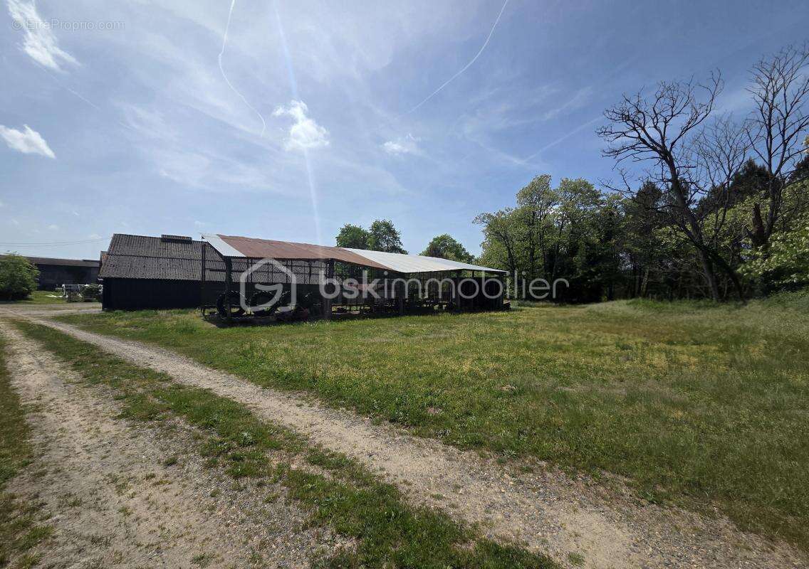 Maison landaise au cœur de la nature - photo 14