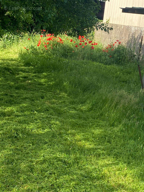 Terrain à BOURGNEUF-EN-RETZ