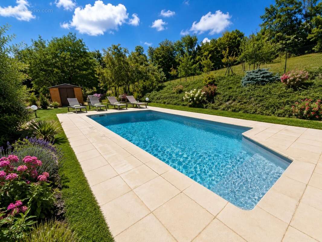 Propriete à vendre 9 pièces MIRECOURT (88) PROPRIÉTÉ D'EXCEPTION avec PISCINE sur TERRAIN clos et arboré de + de 6.500 m2 - photo 19