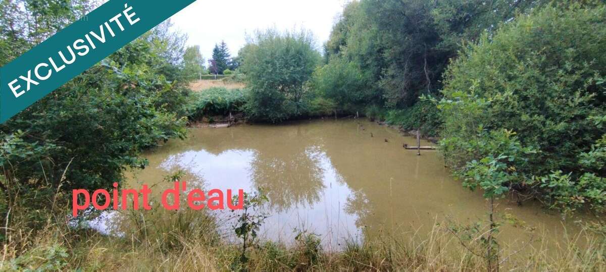 Photo 8 - Maison à SAINT-SEBASTIEN