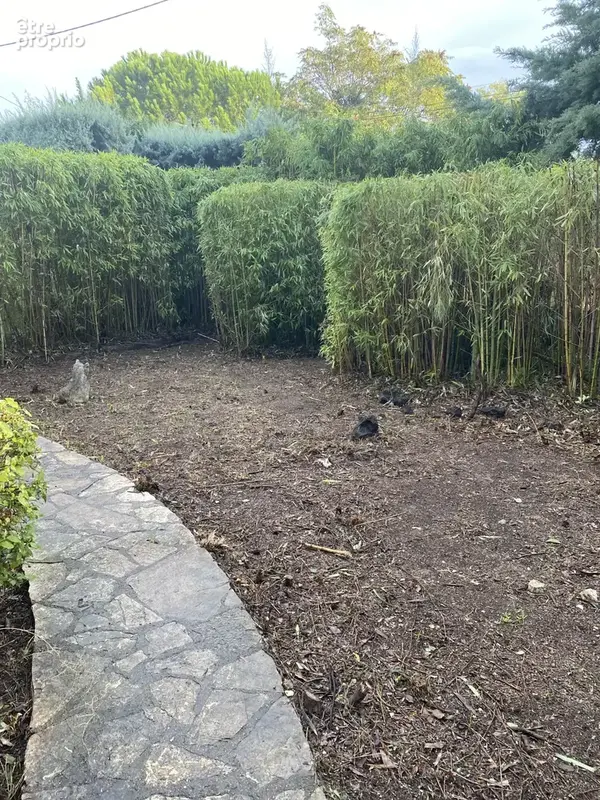Maison de plain pied  avec piscine sur 2420 m2 de terrain arbore - photo 4