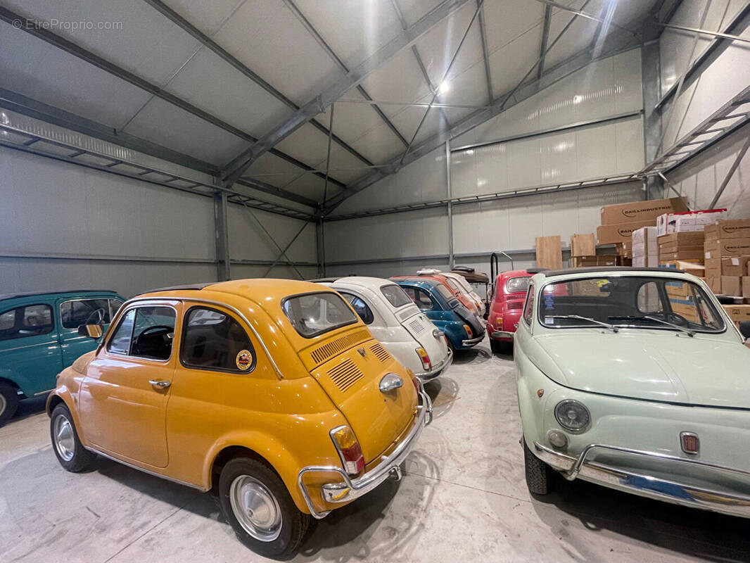 Commerce à ARGELIERS