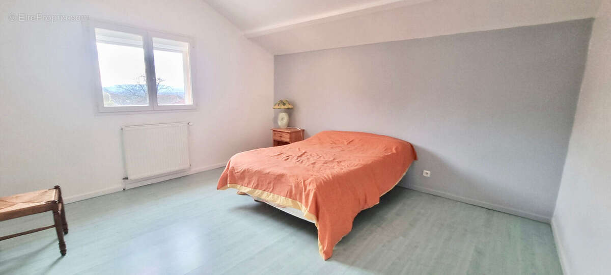MUR-SUR-ALLIER / Maison à vendre avec 4 chambres, piscine et  grand garage ! - photo 11