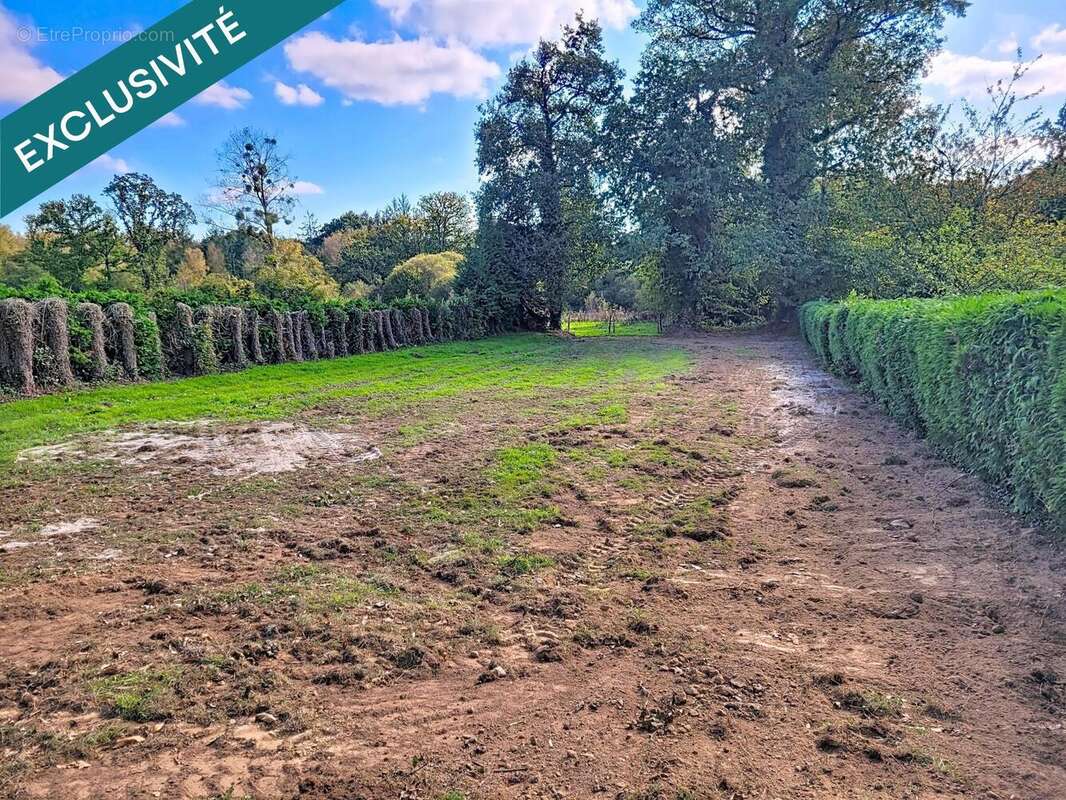 Photo 2 - Terrain à RADENAC