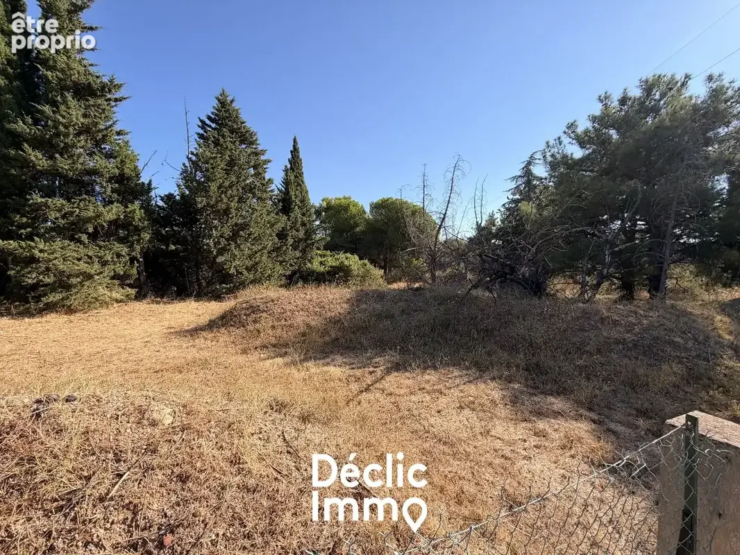 TERRAIN LOISIRS 4205m2 Villeneuve-Lès-Maguelone - photo 4