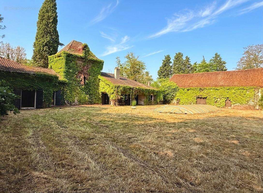 Ancienne orangeraie Charme et Cachet d'exception - photo 14
