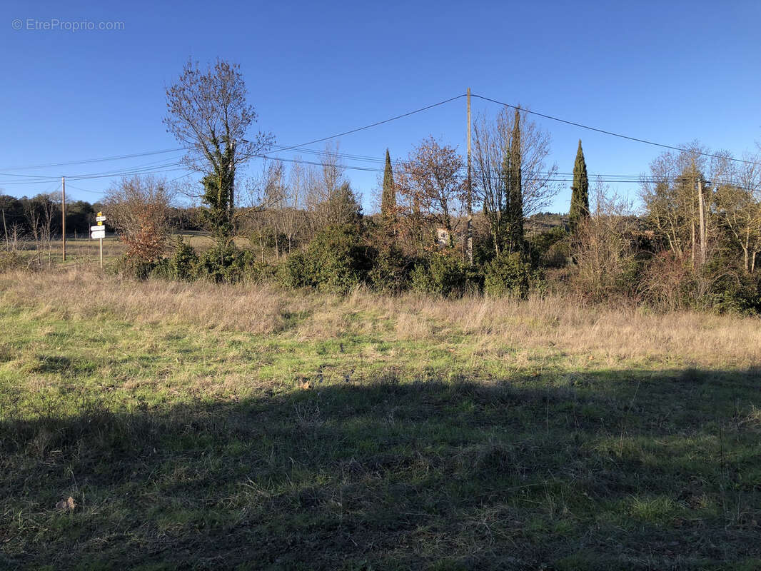 Terrain à MONTOLIEU