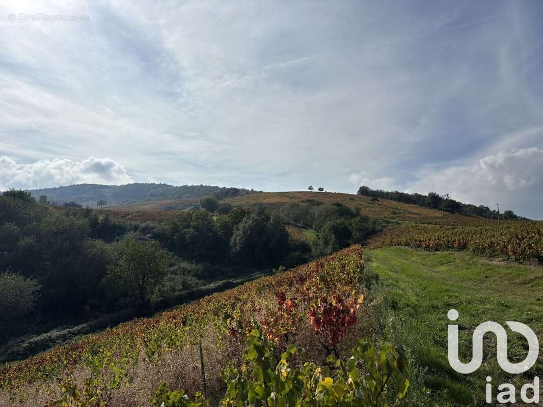 Photo 5 - Maison à QUINCIE-EN-BEAUJOLAIS