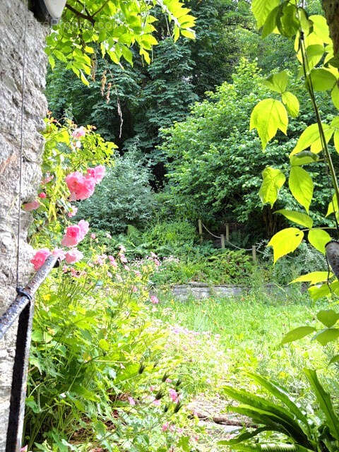 Appartement atypique avec jardin de 200 m2 - photo 4