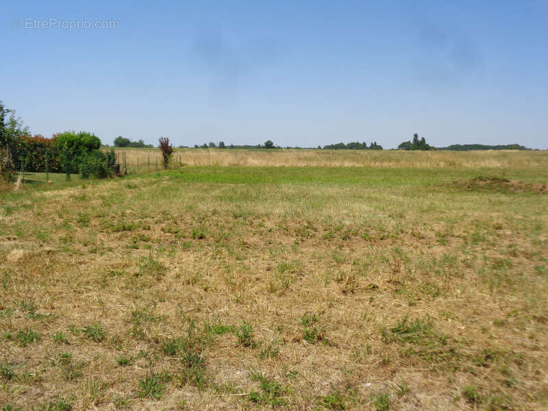Terrain viabilisé à vendre de 1 259 m² PLASSAC (17) - photo 2