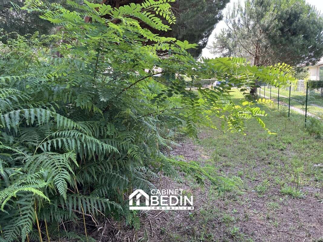 Terrain 600 m² à Audenge  - photo 5