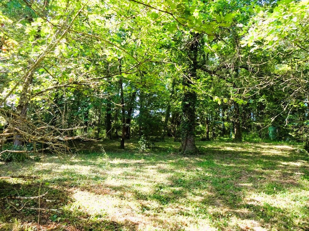 Maison à LACROIX-FALGARDE