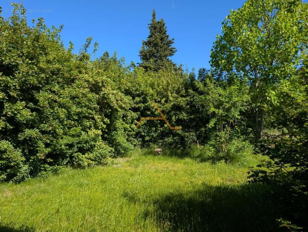 Villa de plain pied - photo 2