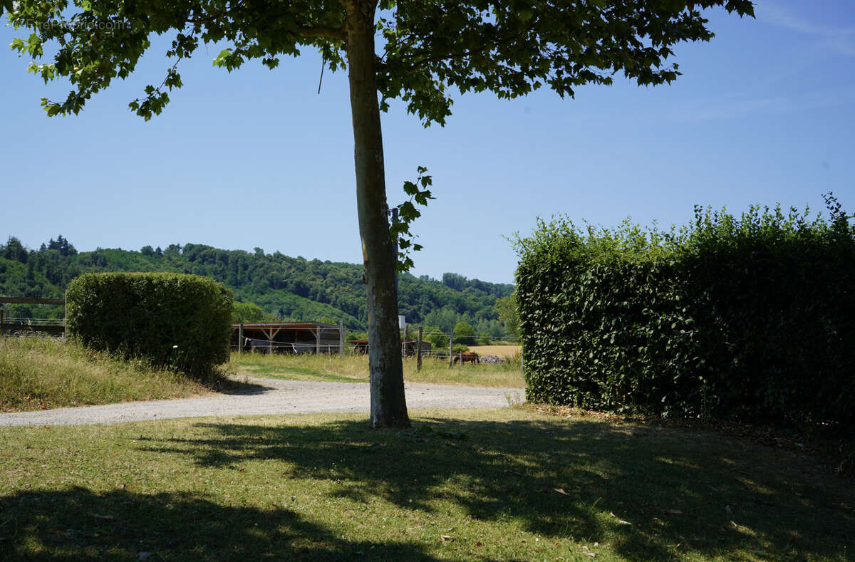 Haras du mas de meyrie - photo 23