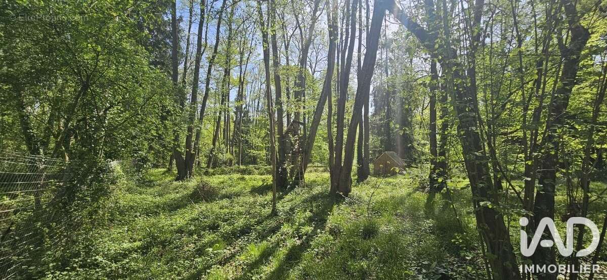 Terrain 4155 m² à Verdelot  - photo 5