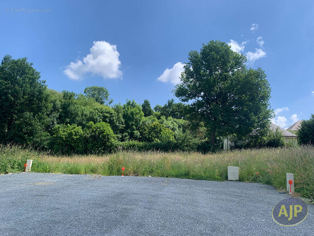 Terrain à SAINTE-GEMMES-D&#039;ANDIGNE