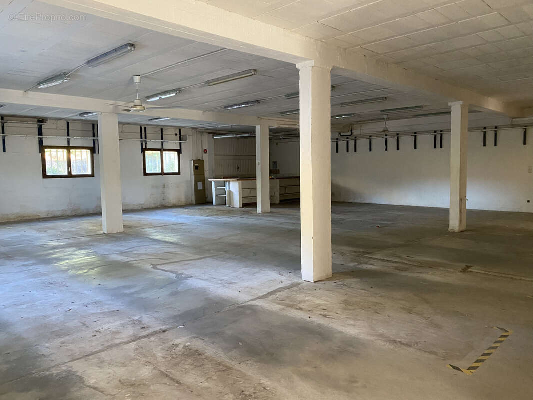 Commerce à ROQUEBRUNE-SUR-ARGENS