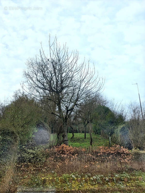 Maison à MAREUIL-CAUBERT