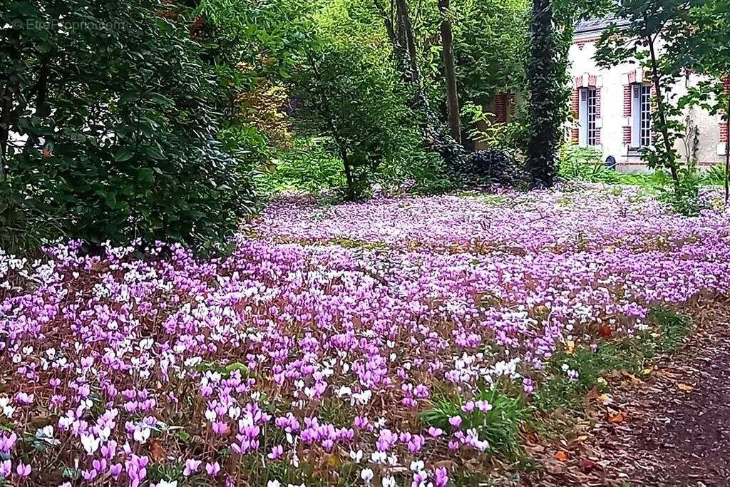Maison à JOUE-LES-TOURS