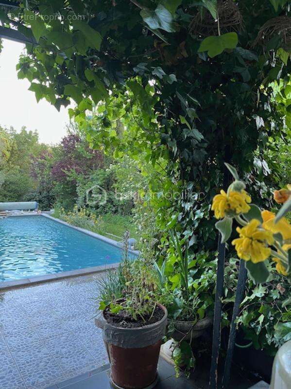 À 25 min de Montpellier - Propriété de charme avec piscine dans un écrin de verdure - photo 5