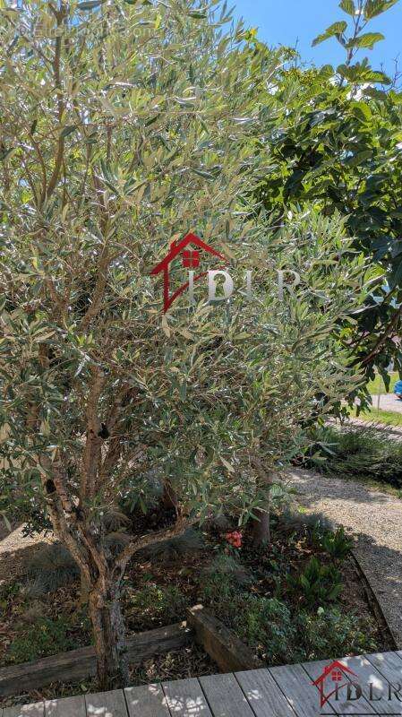 Maison ossature bois , zéro énergie à vendre - photo 16