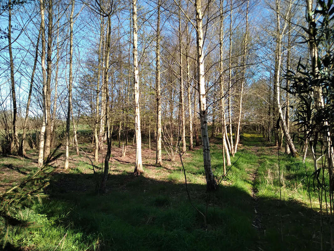 Terrain à MARCILLE-RAOUL