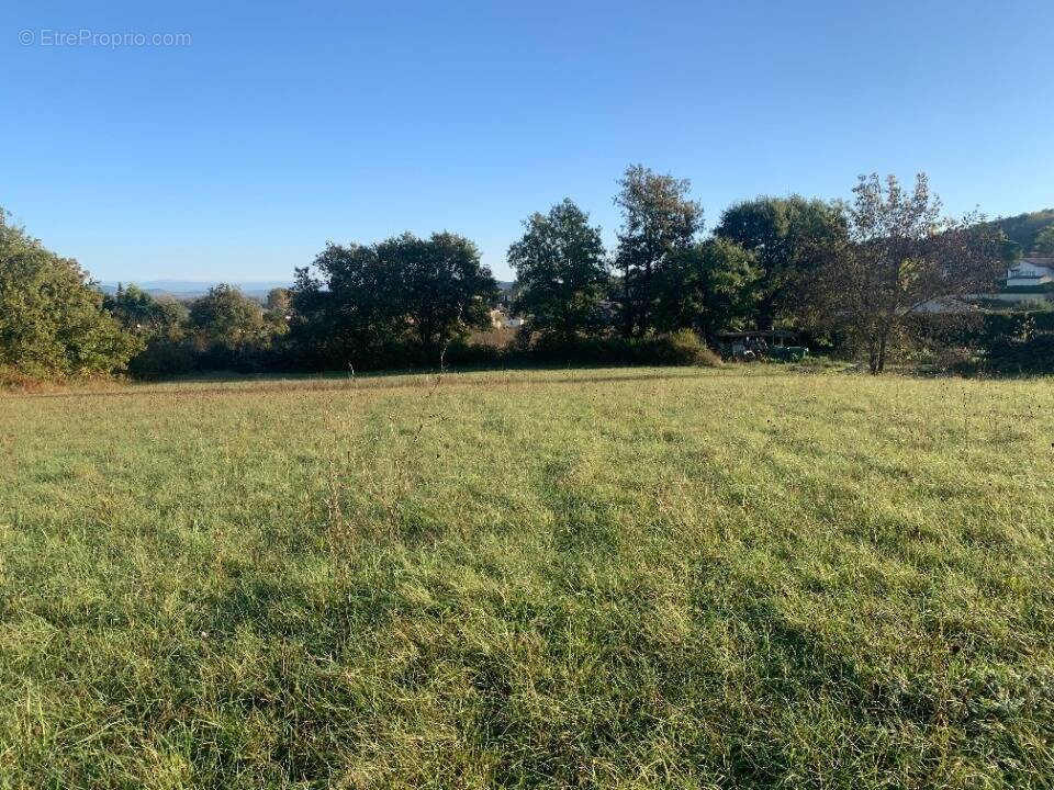 Terrain à RIVIERES