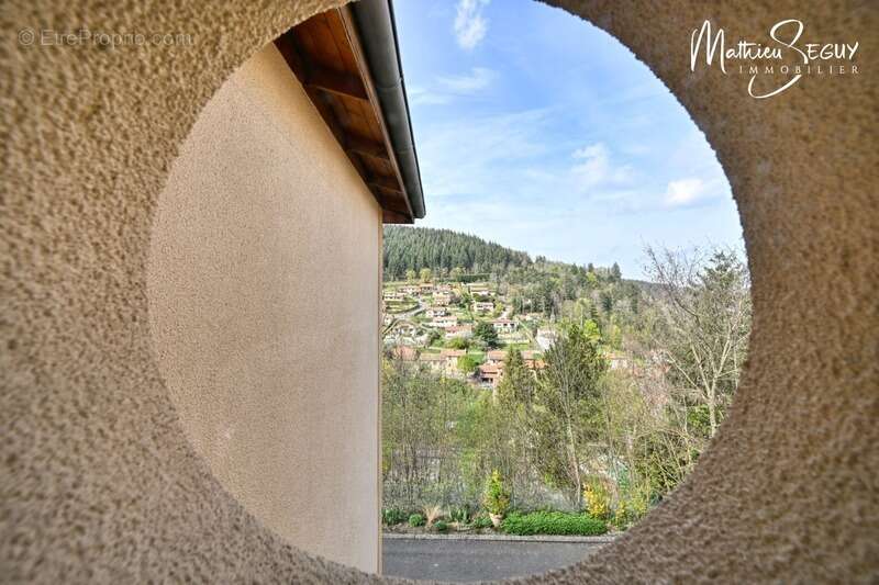 Appartement à THURINS
