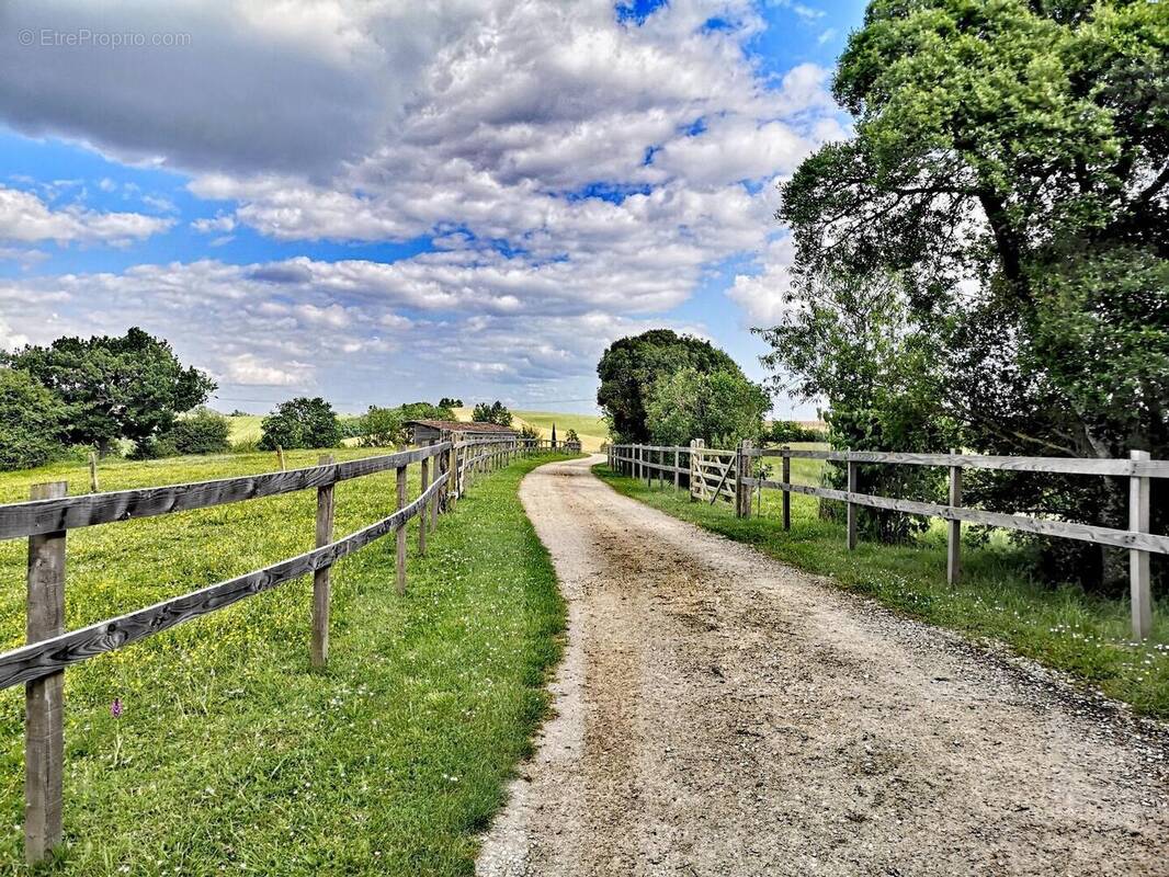 IMG20250516173622edit2342170093738960 - Maison à BARRAN