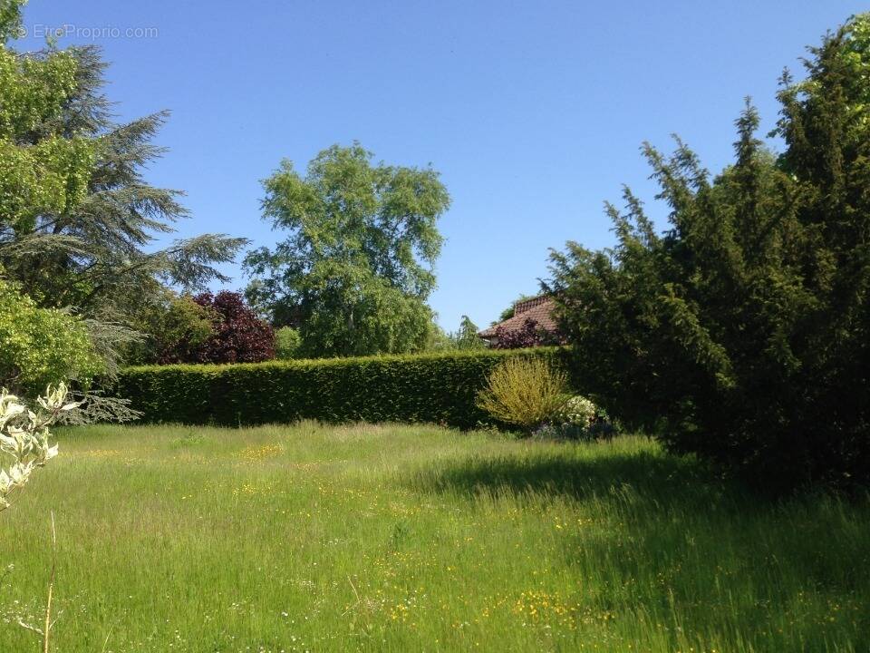 Terrain à GARANCIERES