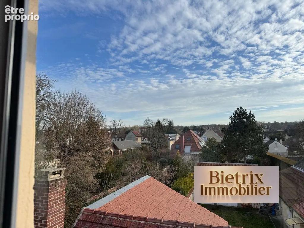 Commerce 28 m² à vendre à L'isle-Adam (95290) - photo 6
