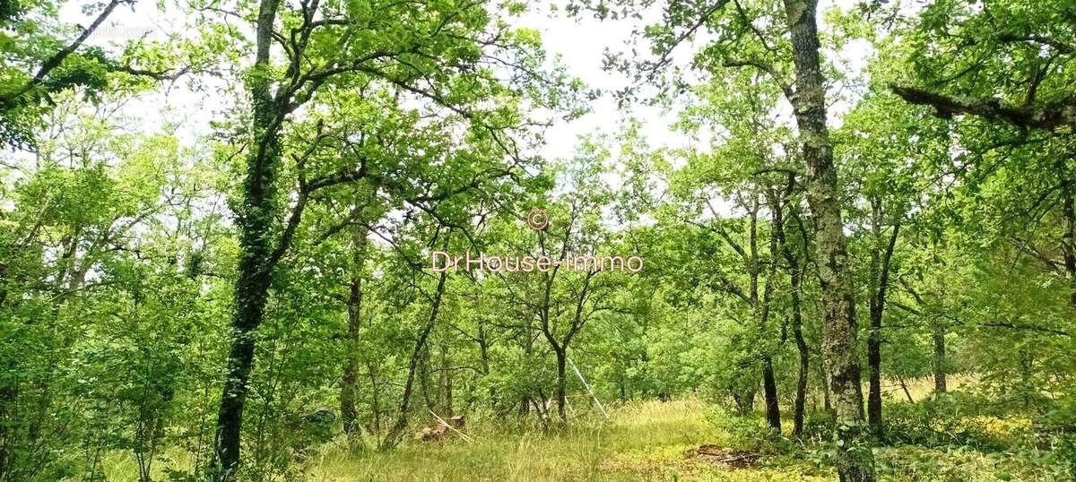 Terrain à MONTVALENT
