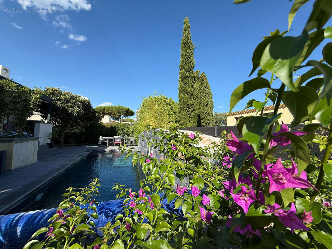 Maison à AGDE