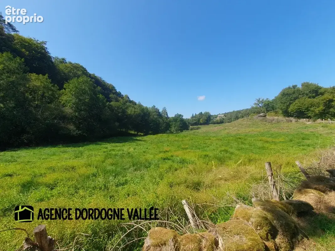 Maison de village en pierres avec terrain attenant de 2,5 ha, ruisseau, source et puits. - photo 9