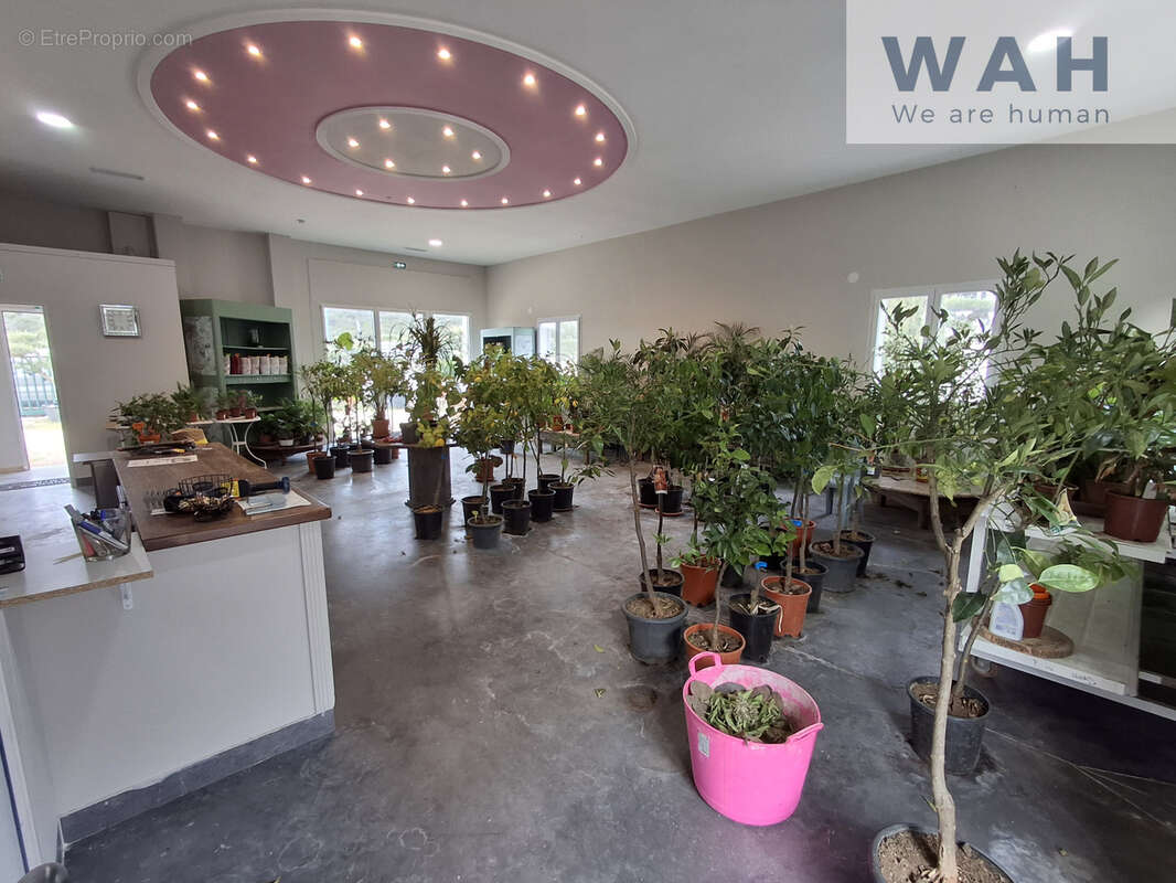 Local commercial - 240m2 - Sauve - photo 13