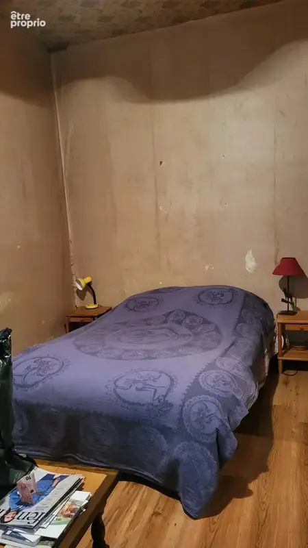 Appartement 13 pièces 198 m² à vendre à Belleville (69220) - photo 11