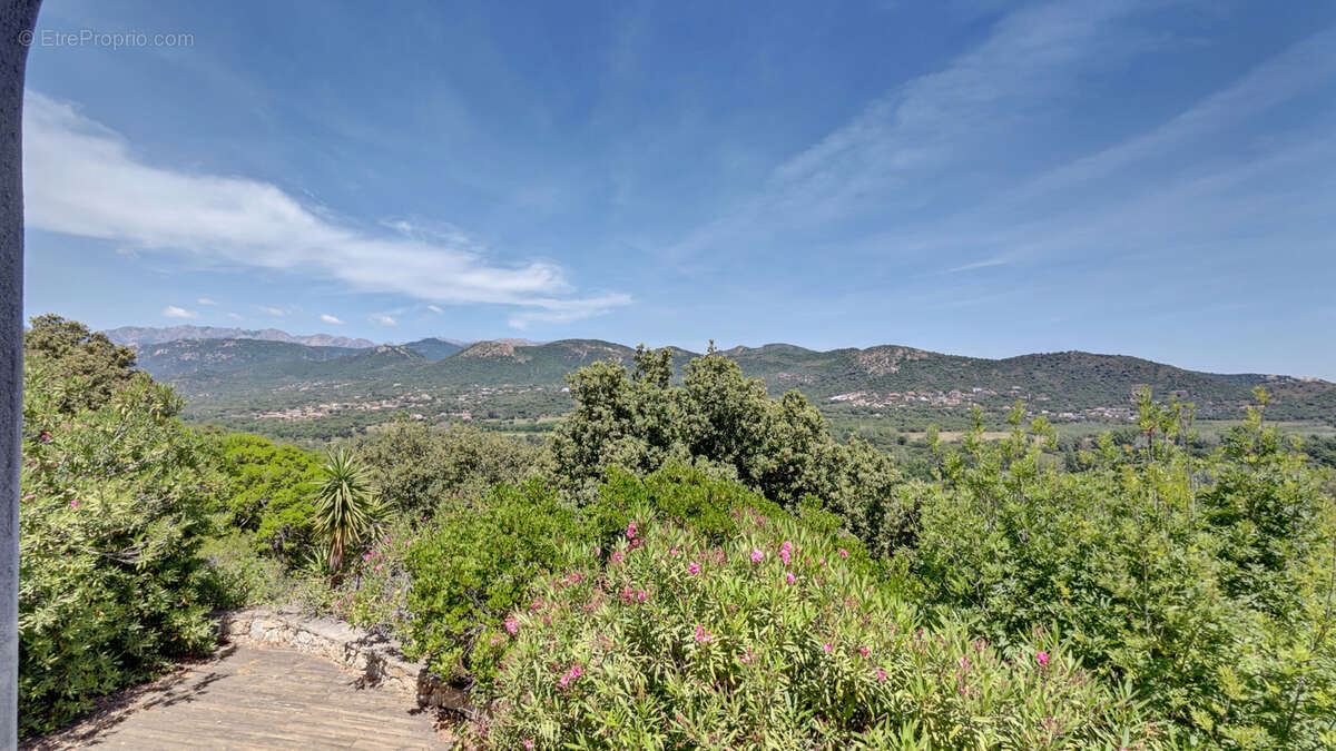 Maison à PORTO-VECCHIO