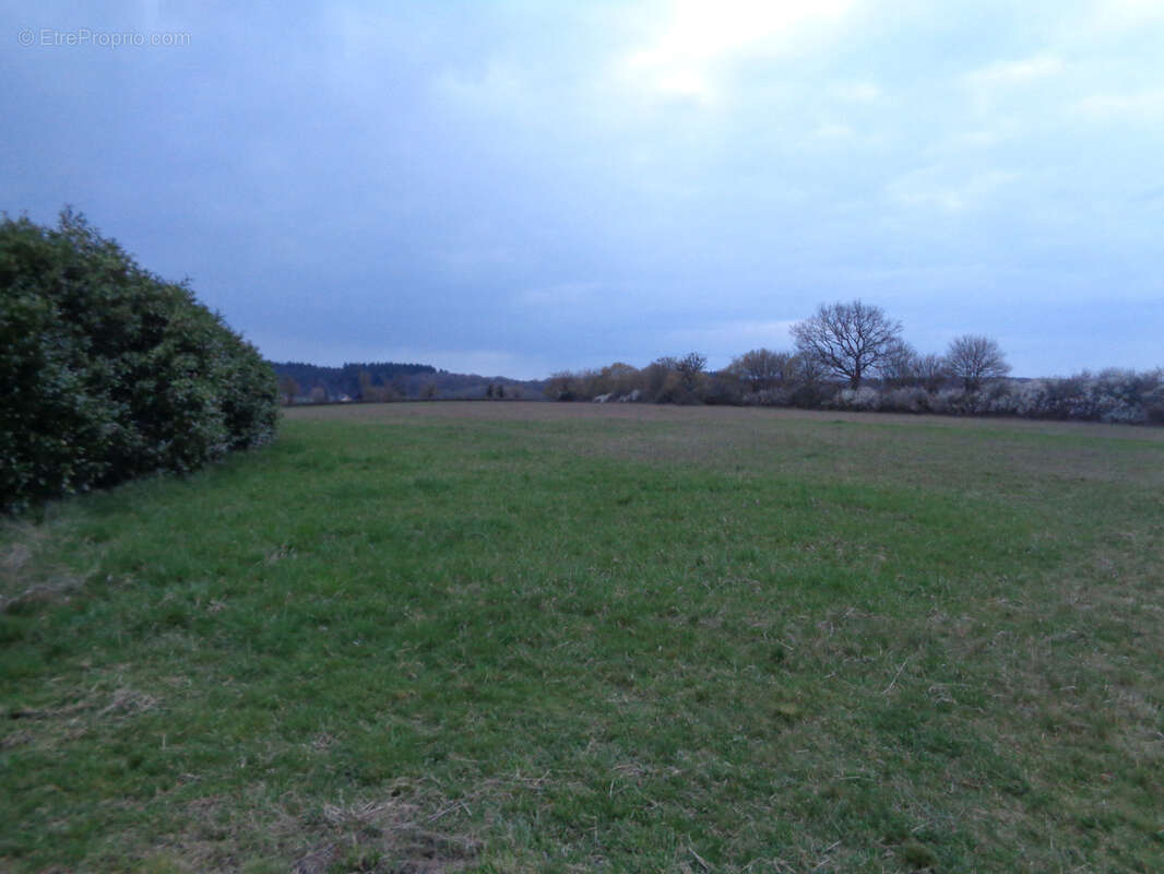 Belle longere sur 3 ha de terrain - photo 10