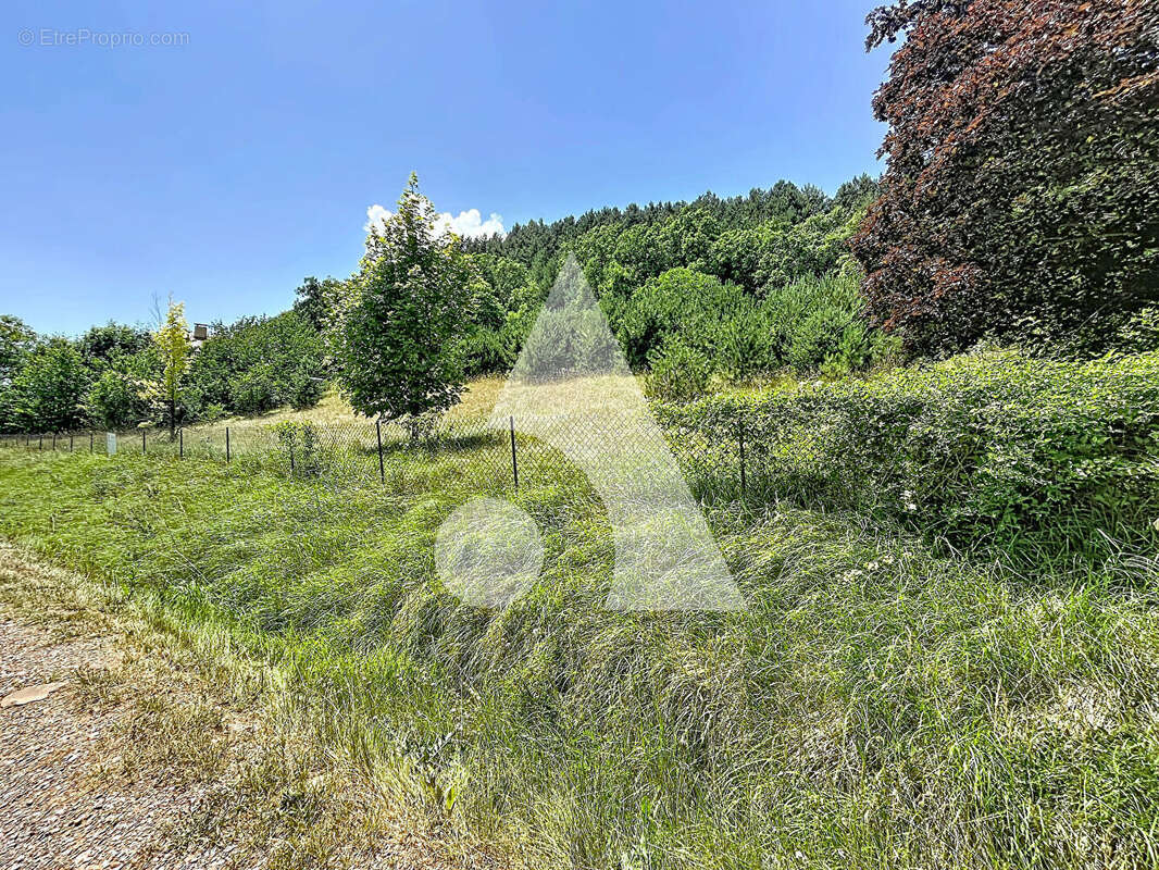 Terrain constructible de 1 463 m² à La Freissinouse - photo 2