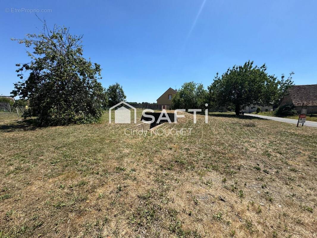 Photo 1 - Terrain à MANSIGNE