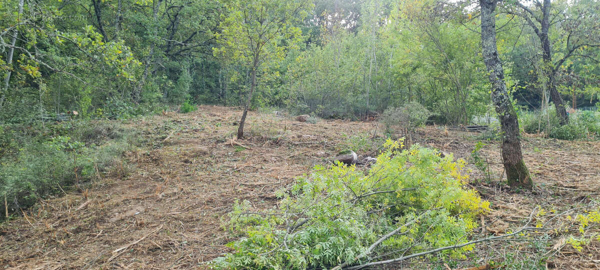 Terrain à UZES