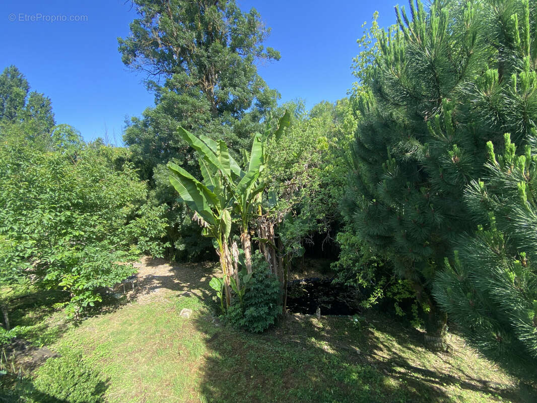 Maison à SAUVETERRE-DE-GUYENNE